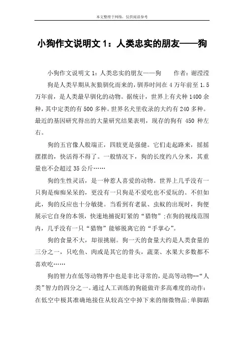 小狗作文说明文1：人类忠实的朋友——狗