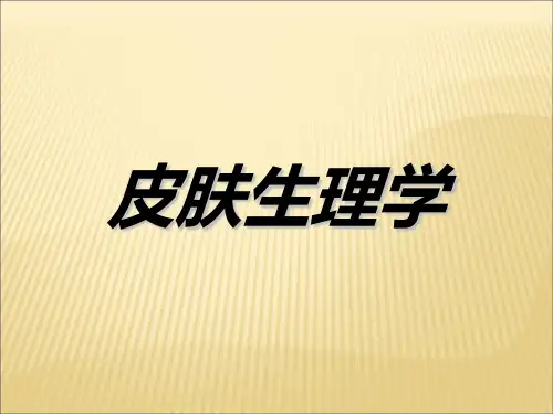 皮肤生理学