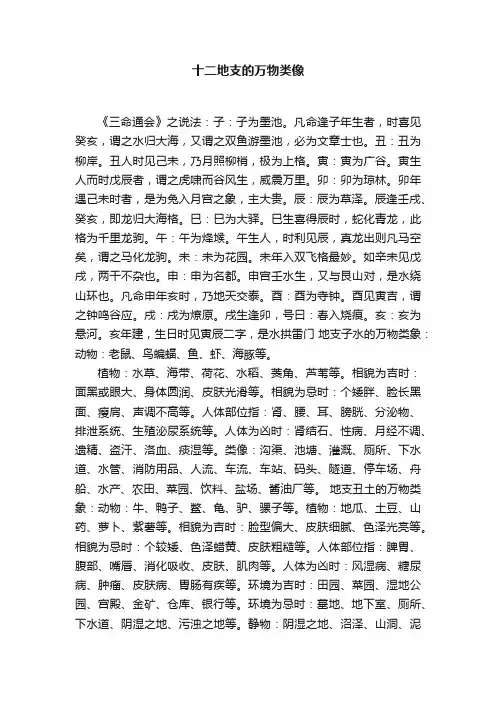 十二地支的万物类像