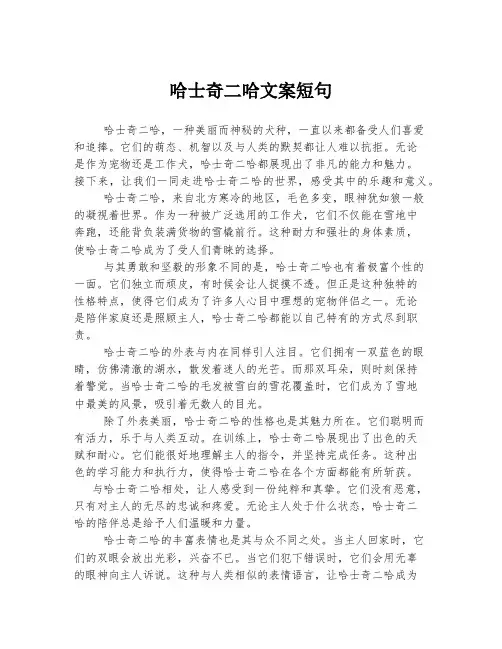 哈士奇二哈文案短句