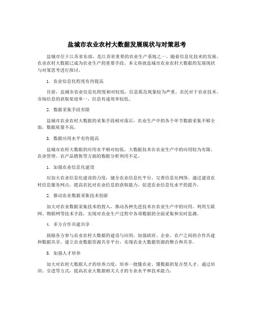 盐城市农业农村大数据发展现状与对策思考
