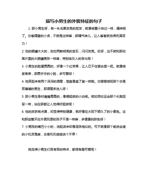 描写小男生的外貌特征的句子