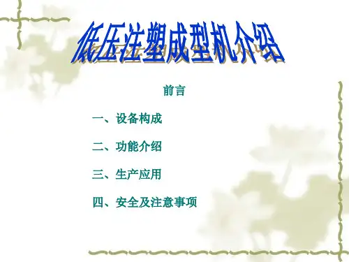 低压成型注塑机介绍