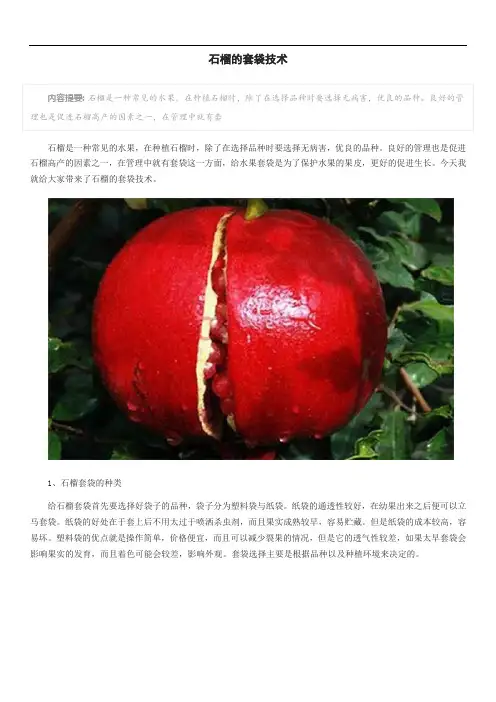 石榴的套袋技术