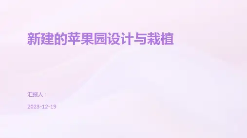 新建的苹果园设计与栽植