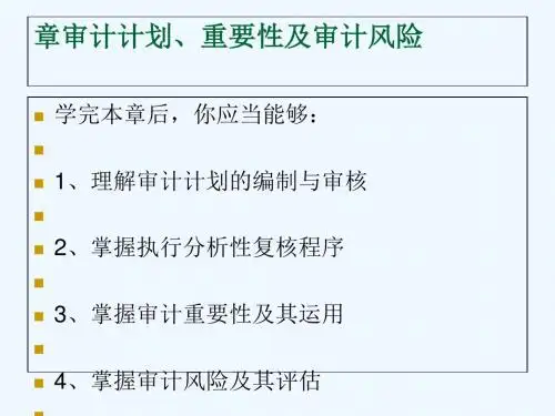 #审计计划、重要性及审计风险