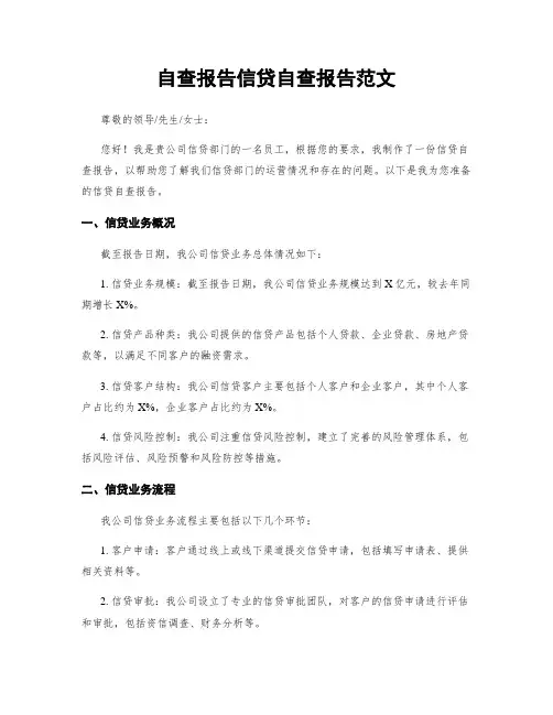 自查报告信贷自查报告范文