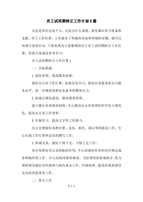 员工试用期转正工作计划5篇