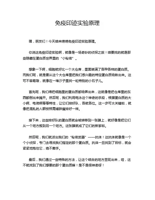 免疫印迹实验原理