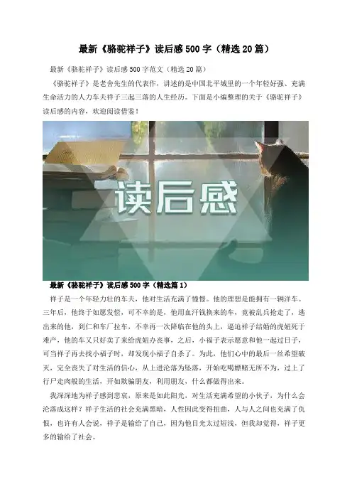 最新《骆驼祥子》读后感500字(精选20篇)