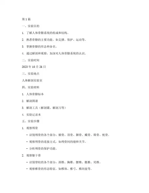 人体骨骼结构实验报告(3篇)