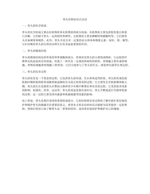 骨头结构知识点总结
