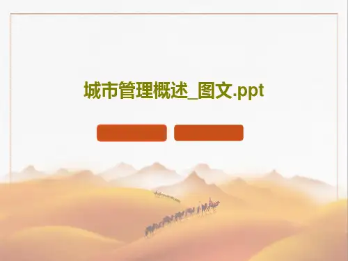 城市管理概述_图文.ppt共55页