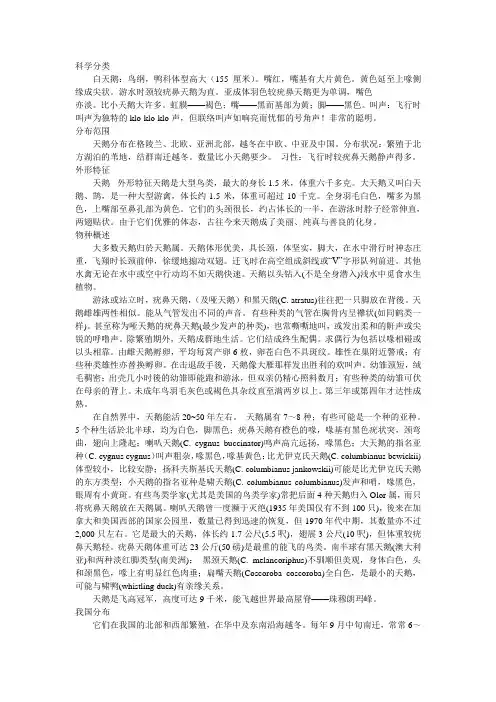 动物观赏学论文