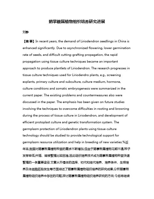鹅掌楸属植物组织培养研究进展