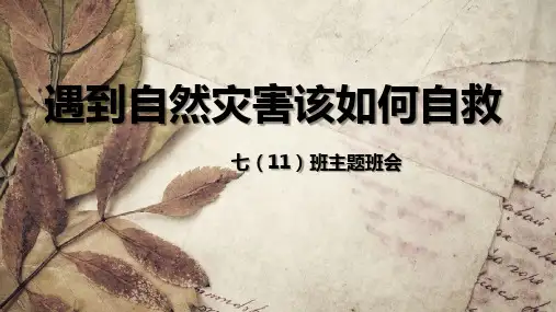 遇到自然灾害该如何自救PPT课件