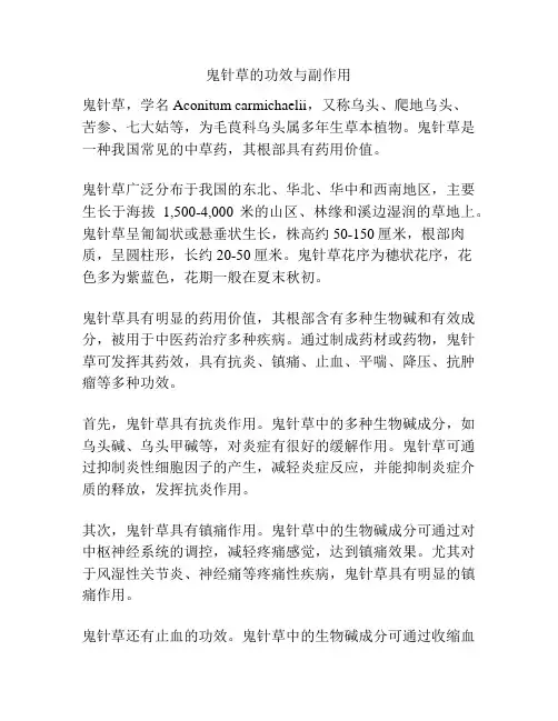鬼针草的功效与副作用