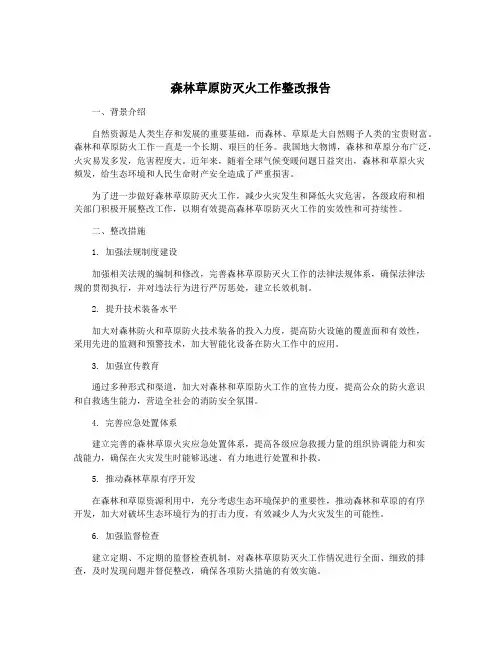 森林草原防灭火工作整改报告