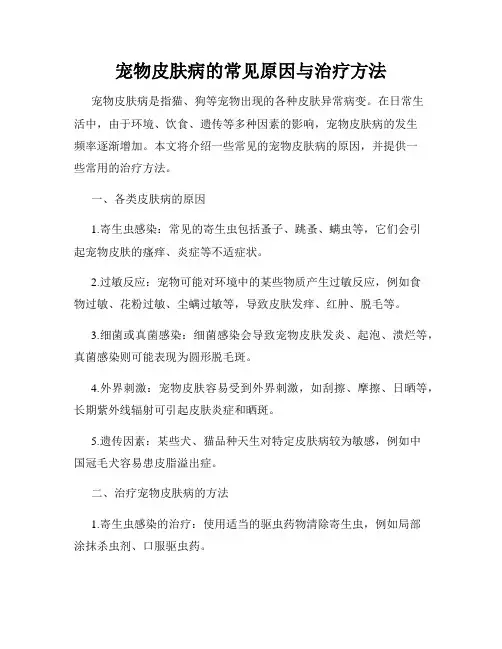 宠物皮肤病的常见原因与治疗方法