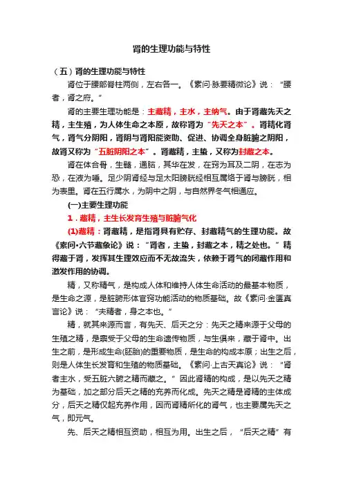 肾的生理功能与特性