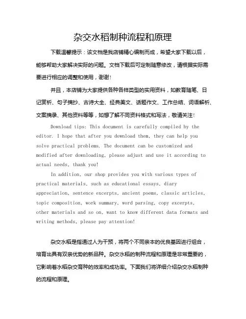 杂交水稻制种流程和原理
