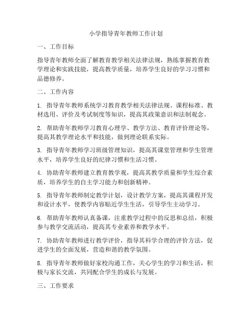 小学指导青年教师工作计划