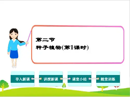 人教版生物七年级上册《种子植物第课时》精品教学课件