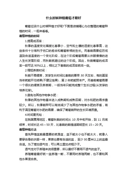 什么时候种植葡萄才最好
