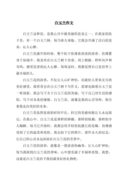 白玉兰作文
