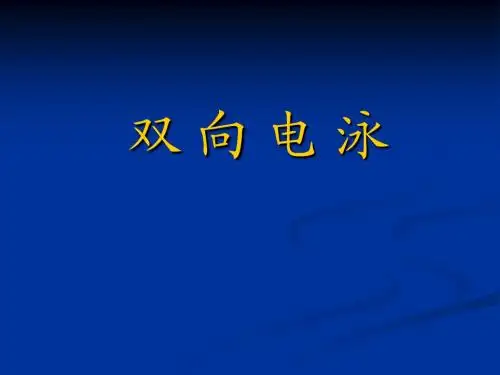 双向电泳