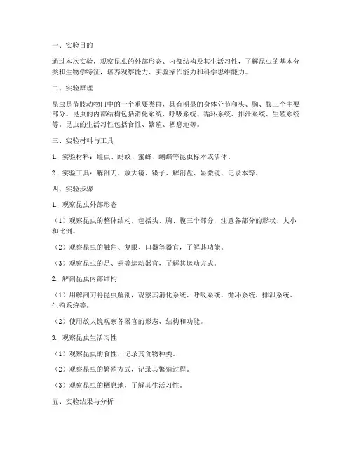 观察昆虫专题实验报告