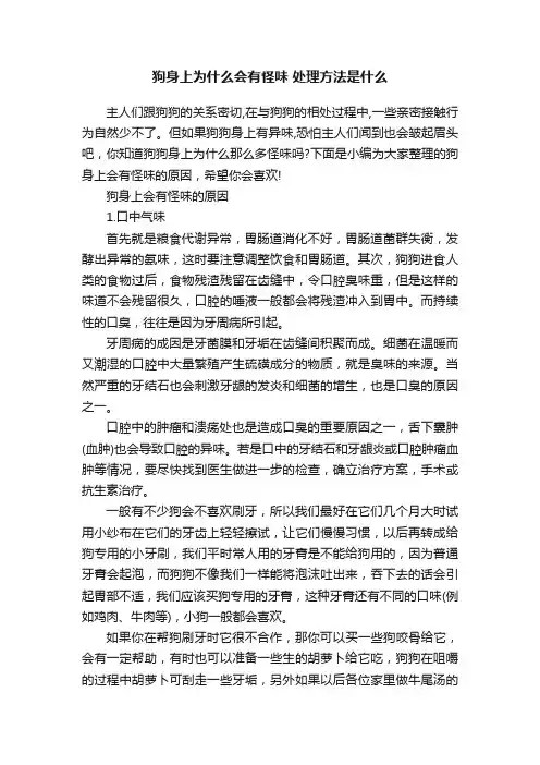 狗身上为什么会有怪味处理方法是什么