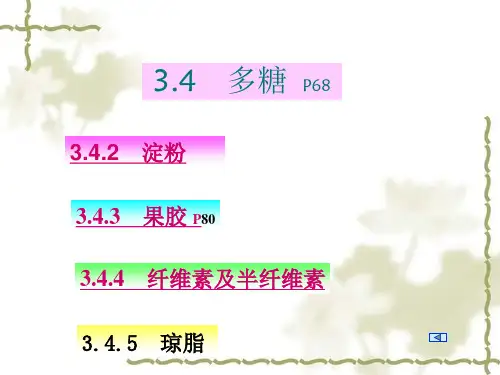 多糖.ppt (2.32 MB)