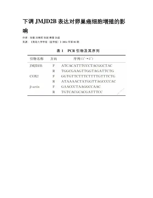 下调JMJD2B表达对卵巢癌细胞增殖的影响