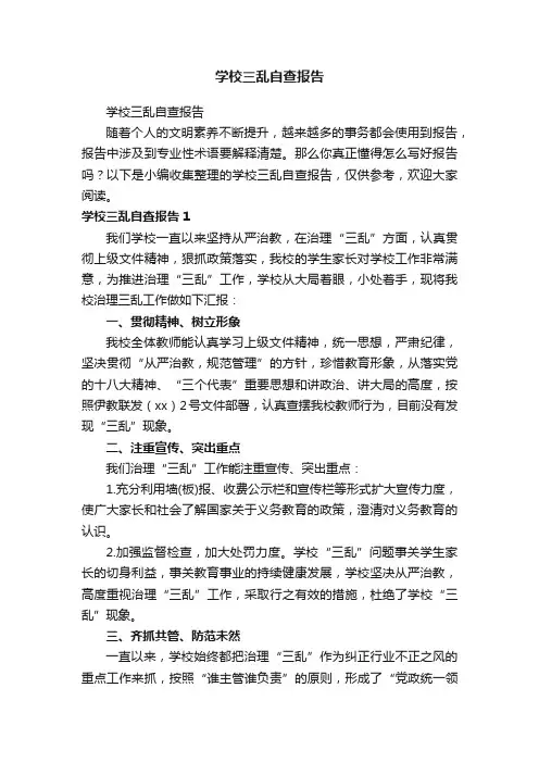 学校三乱自查报告