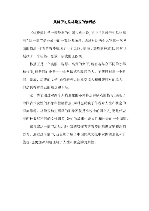 凤辣子初见林黛玉的读后感