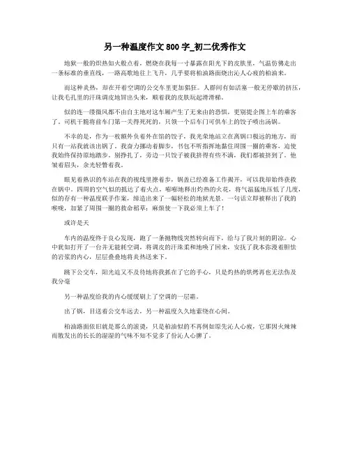另一种温度作文800字_初二优秀作文