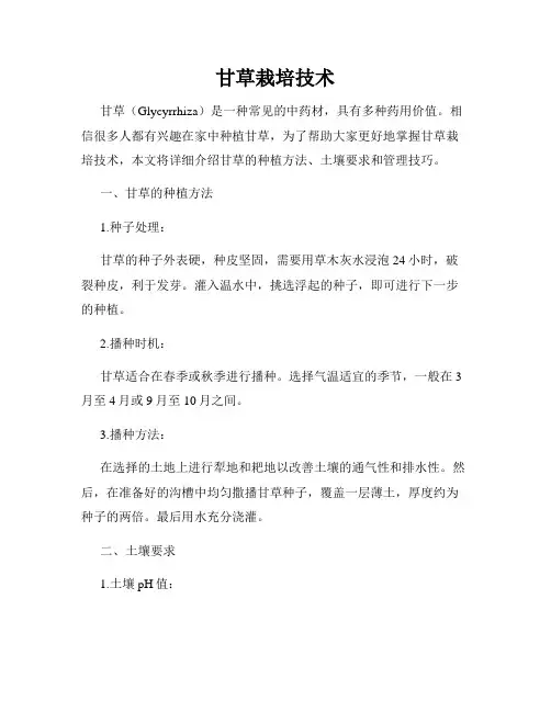 甘草栽培技术