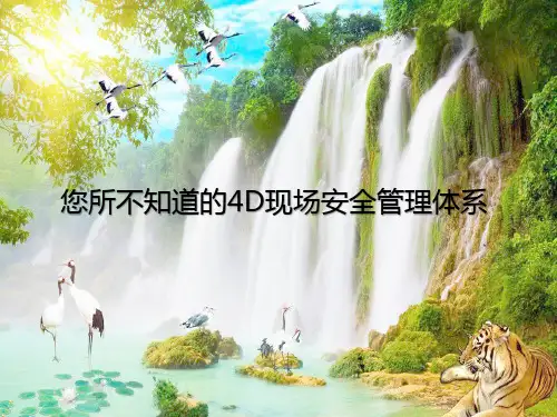 4D现场安全管理体系内容介绍