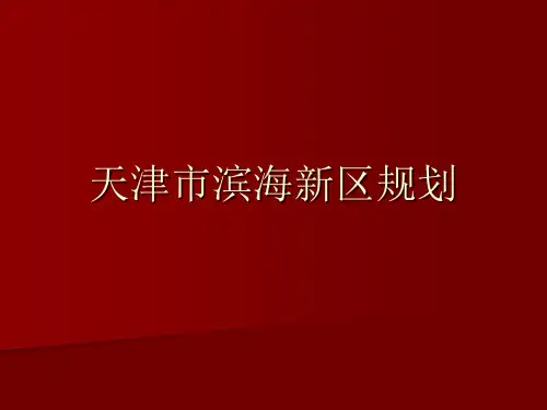 天津市滨海新区规划
