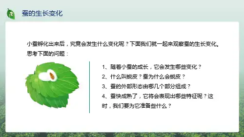 蚕的成长变化外部形态及成熟表现特征教育PPT教学课件
