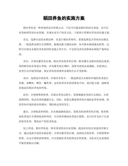 稻田养鱼的实施方案