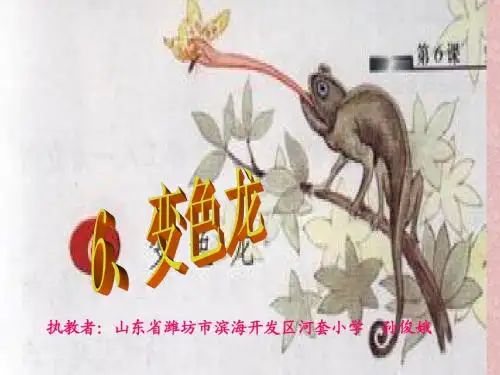 苏教版小学五上《变色龙》课件
