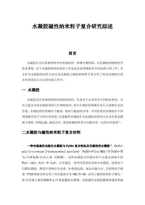 磁性水凝胶文献综述