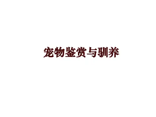 宠物鉴赏与驯养