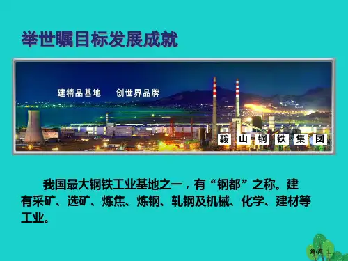 八年级地理下册第十章中国在世界中举世瞩目的发展成就