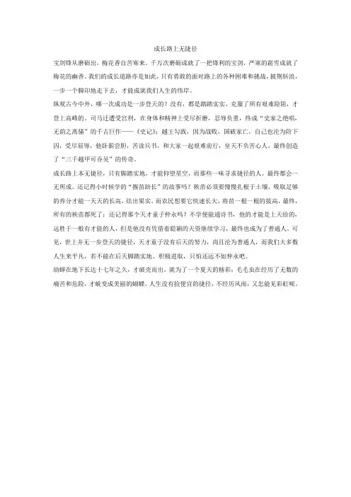 初中命题作文——成长路上无捷径