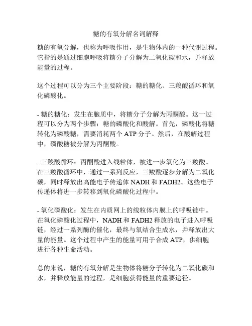 糖的有氧分解名词解释