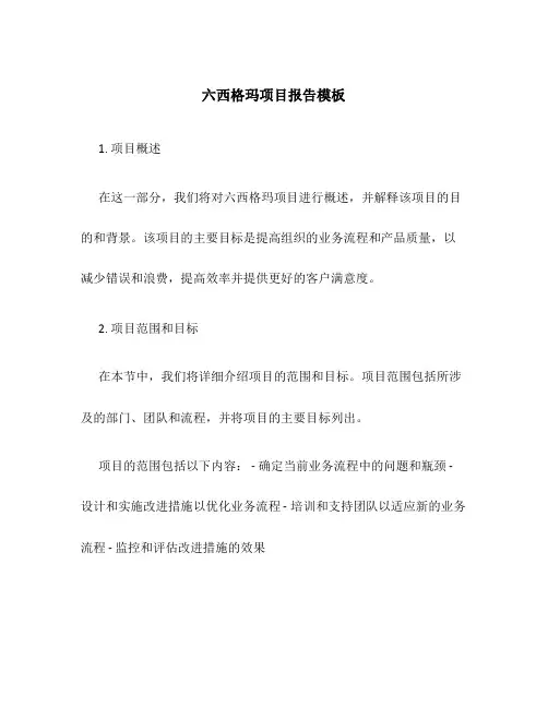 六西格玛项目报告模板