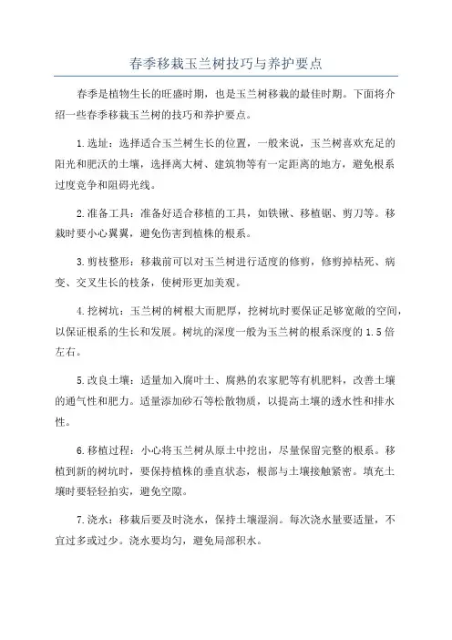 春季移栽玉兰树技巧与养护要点